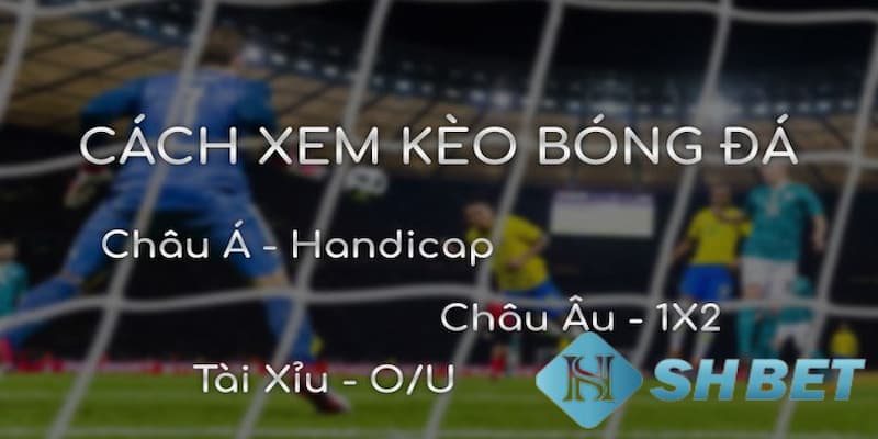 Cách chọn kèo thơm đơn giản trong cá độ bóng đá