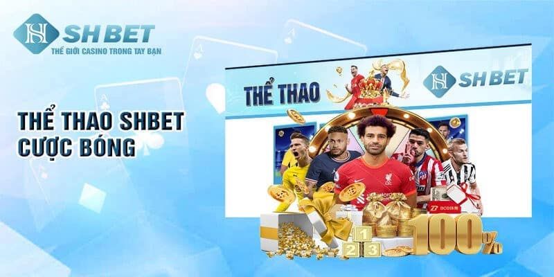 Giới thiệu chung về sảnh cược thể thao SHBET