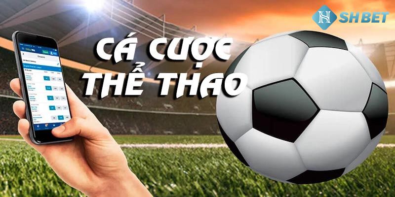 Cá độ thể thao bóng đá