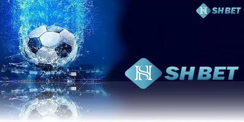 Đội ngũ và văn hóa doanh nghiệp về chúng tôi