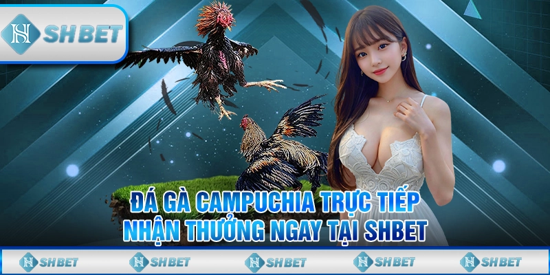 Đá Gà Campuchia Trực Tiếp Nhận Thưởng Ngay Tại Shbet
