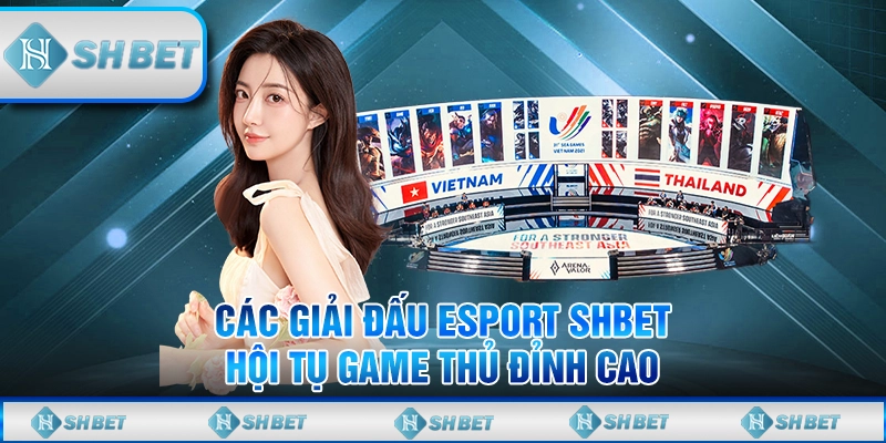 Các Giải Đấu Esport SHBET – Hội Tụ Game Thủ Đỉnh Cao