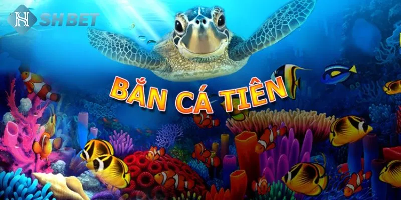 Tổng quát một số kiến thức quan trọng về bắn cá tiên