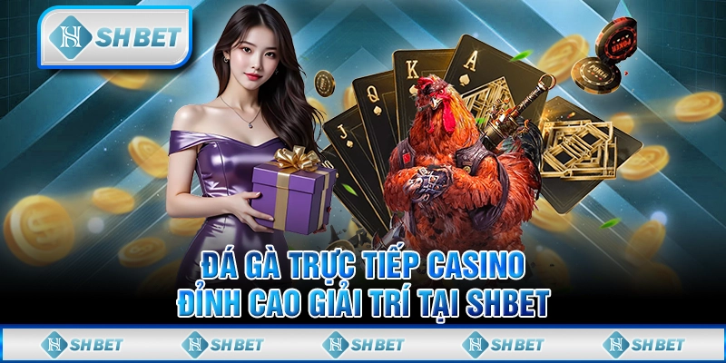 Đá Gà Trực Tiếp Casino - Đỉnh Cao Giải Trí Tại SHBET