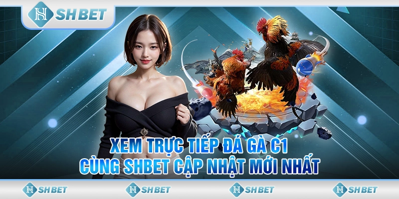 Xem Trực Tiếp Đá Gà C1 Cùng SHBET Cập Nhật Mới Nhất