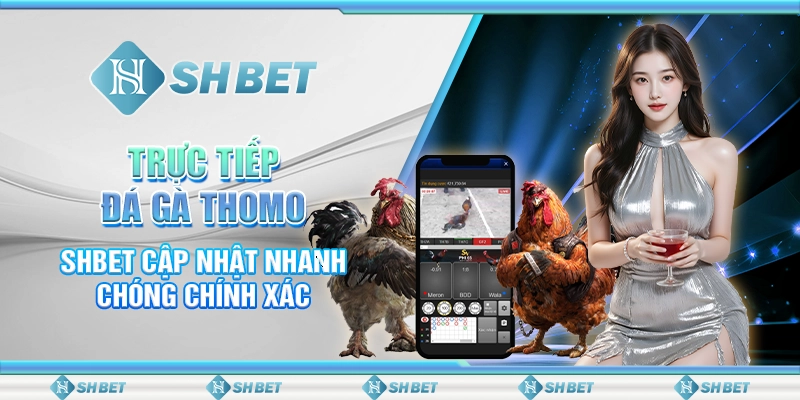 Trực Tiếp Đá Gà Thomo - SHBET Cập Nhật Nhanh Chóng Chính Xác