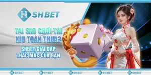 Tại Sao Chơi Tài Xỉu Toàn Thua? SHBET Giải Đáp Thắc Mắc