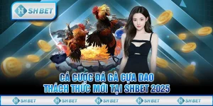 Cá Cược Đá Gà Cựa Dao - Thách Thức Mới Tại SHBET 2025