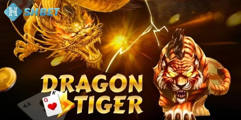 Những điều bạn không nên làm khi tham gia chơi rồng hổ