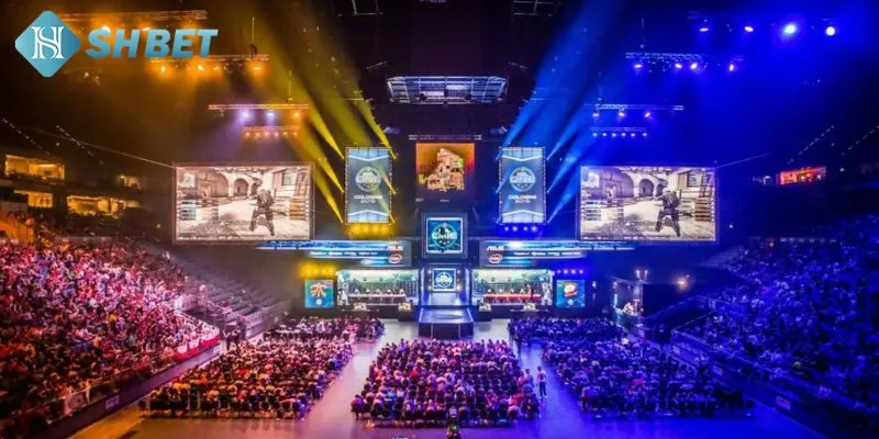 Những tựa game hot được khán giá vô cùng yêu thích