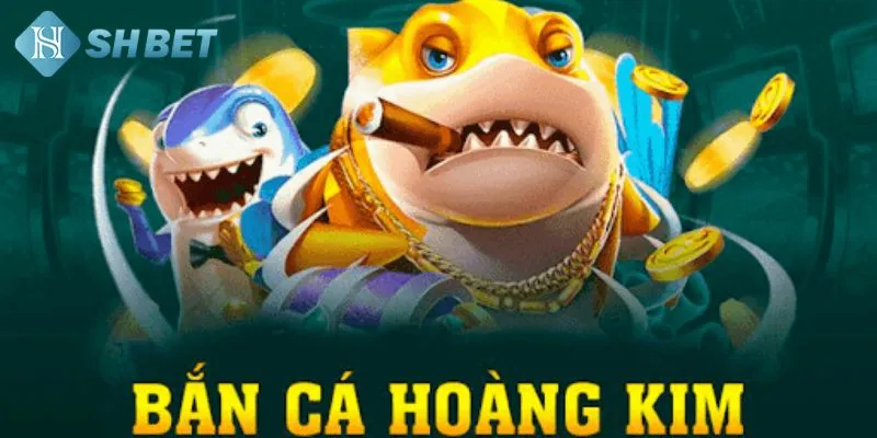 Tổng quan một số kiến thức quan trọng về bắn cá hoàng kim
