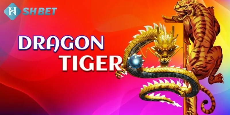 Tổng quan một số kiến thức quan trọng về mẹo đánh rồng hổ