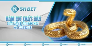 Nằm Mơ Thấy Rắn - Giải Mã Bí Ẩn Các Con Số Với SHBET