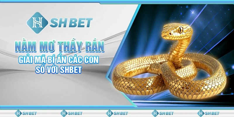 Nằm Mơ Thấy Rắn - Giải Mã Bí Ẩn Các Con Số Với SHBET