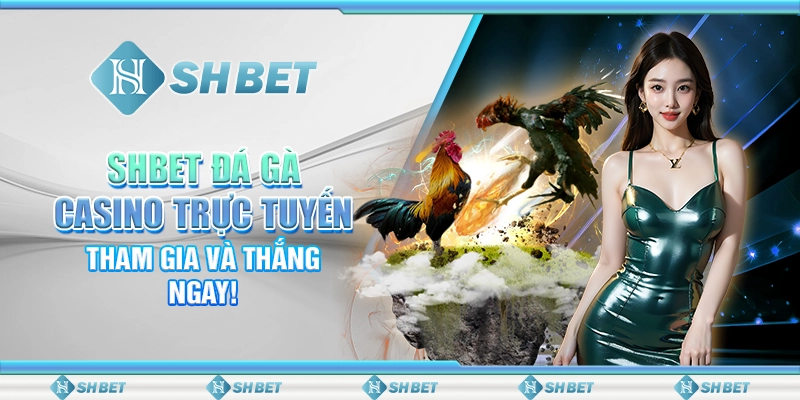 SHBET Đá Gà Casino Trực Tuyến: Tham Gia Và Thắng Ngay!