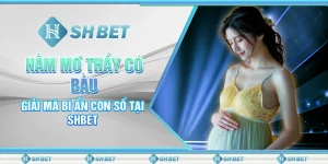 Nằm Mơ Thấy Có Bầu: Giải Mã Bí Ẩn Con Số Tại SHBET