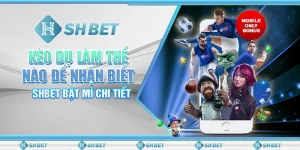 Kèo Dụ Làm Thế Nào Để Nhận Biết - SHBET Bật Mí Chi Tiết
