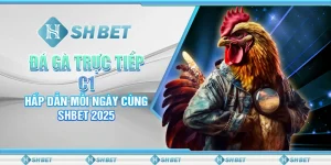 Đá Gà Trực Tiếp C1: Hấp Dẫn Mỗi Ngày Cùng SHBET 2025