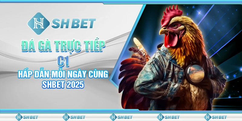 Đá Gà Trực Tiếp C1: Hấp Dẫn Mỗi Ngày Cùng SHBET 2025