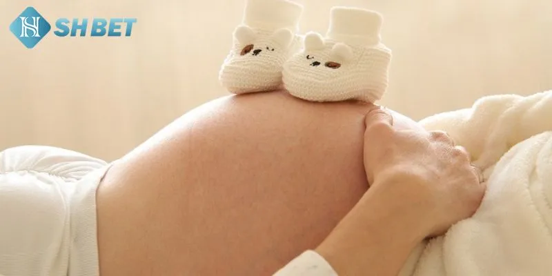 Danh sách những giấc mơ mà bạn có thể hay gặp nhất