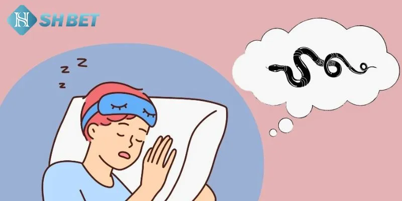 Giải mã con số may mắn với điềm tốt khi mơ thấy rắn trong phong thủy
